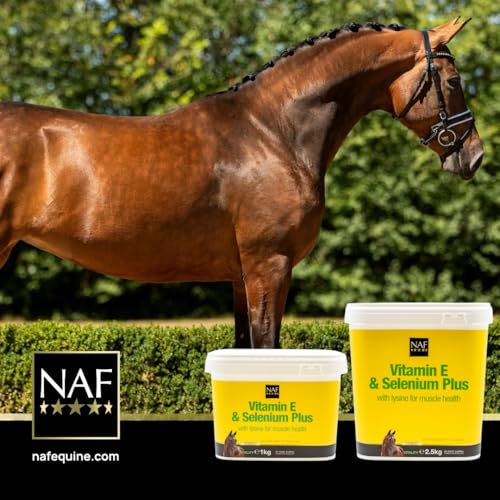 NAF Vitamin E and Selenium 1kg – Antioxidant Supplement for Horses – Supports Muscle Function, Recovery & Immunity – Ideal for Horses in Work or Low-Grazing Conditions - Image 4
