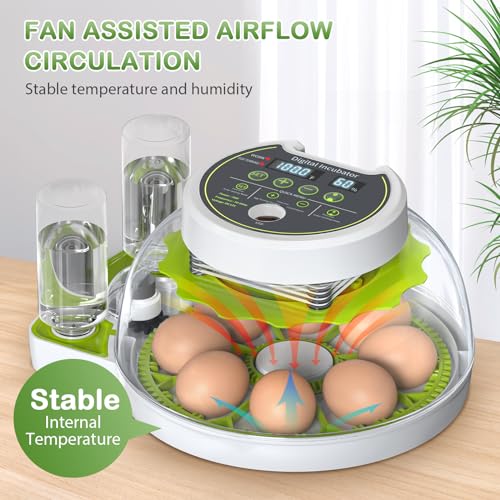 Incubadora de 8 ovos com giro automático de ovos e controle de umidade, incubadoras para incubação d