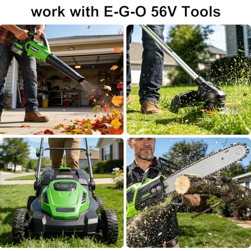 Image of DTK 2 Packs Updated Replacement for EGO 56V Battery 10000mAh Cordless Tool 560Wh BA4200 BA4200T 10AH