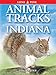 Animal Tracks of Indiana