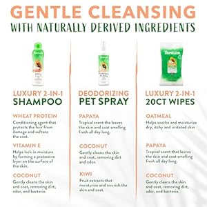  TropiClean-Papaya-Grooming-Kit-for-Dogs-Natural-Pet-Products-Derived-from-Natural-Ingredients-Safe-for-Cats-Made-in-The-USA-3-Piece-Set