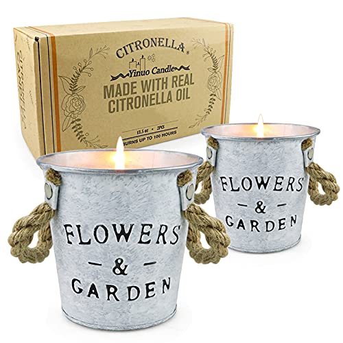Find The Best Citronella Candles For Bugs Reviews & Comparison Katynel