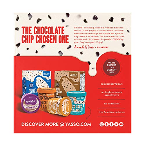 Yasso Frozen Greek Yogurt Bars Chocolate Chip, 4-Count Box (Case of 8)