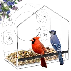 Jarkyfine Window Bird Feeder with Strong Suction Cups for Outdoors – Clear Bird Feeders for Viewing, Transparent Acrylic Bird Feeder for Window, Nothing to Assemble, Gifts for Mom Grandma Bird Lovers