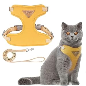 Escape Proof Cat Harness and Lead Set, Soft Mesh Puppy Harness, Adjustable Soft Cat Walking Jackets, Breathable Cat Leash, Comfortable Kitten Harness for Large Medium Small Pets Walking, Orang (S)