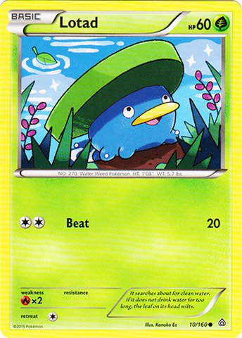 Pokemon - Lotad (10/160) - XY Primal Clash