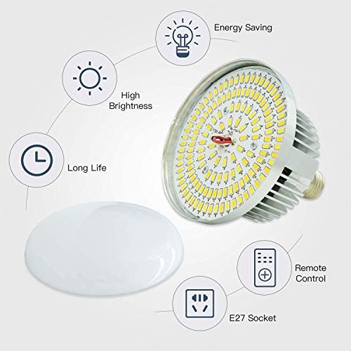 Gluckluz Softbox Lighting Kit Photography Light Studio 19.7 x 27.5 Inch 2 Pack Video Light Kit with 76 Inch Stand & E27 Socket & 2 Remotes for Portrait Advertising Photo Shooting