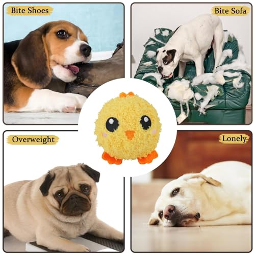 Quietschende Hundebälle - Weiche Kaubälle für kleine mittelgroße Hunde | Tierdesign Sound Toys Welpen, langlebiges Quietschspielzeug für drinnen Spielen im Wohnzimmer, Schlafzimmer, Haustierraum