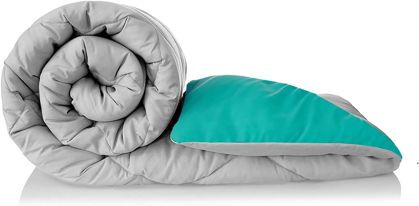 bien LIVING Plush Reversible Microfiber Comforter Double Bed | 220 GSM Wadding | 110 GSM Peached Extra Soft Microfiber Fabric,All Weather Comforter Double Bed (90 X 100 Inches) Ash Grey + Aqua Blue