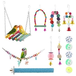 E-More Bird Papegaaienspeelgoed Set 12 stuks Vogelspeelgoed Papegaai Schommelspeelgoed Kauwspeelgoed Kleurrijke hangende…
