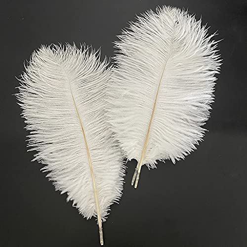 Londgen 10Pcs Natural Ostrich Feathers Plumes 14-16Inch(35-40Cm) For Craft Flower Arrangement Wedding Decoration And Halloween Party (White) #TOP5