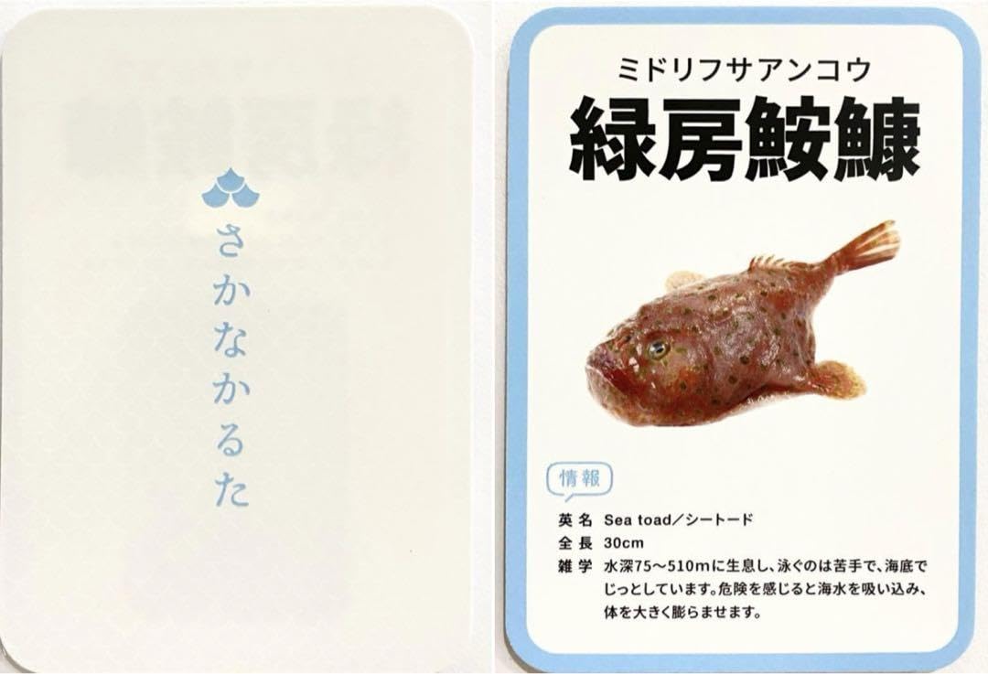 やっちゃん 阿漕焼 魚水庵 青磁 魚耳付 花生 共箱 耳付 【k3425】 アートアクアリウム美術館 源吉兆庵のカフェレストラン THE