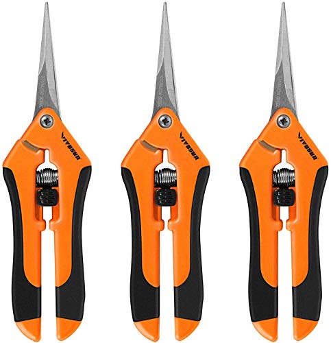 VIVOSUN 3-Pack 6.5 Inch Gardening Hand Pruner, Pruning Shear with Straight Stainless Steel Blades Orange