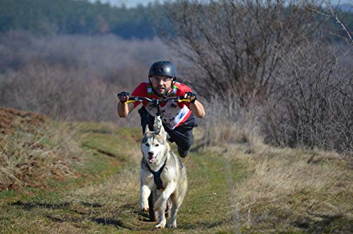 Northern Howl X-Back Zuggeschirr Fuer Bike-, Skijoring Dogscooting Canicross Schlitten in Blau (S)