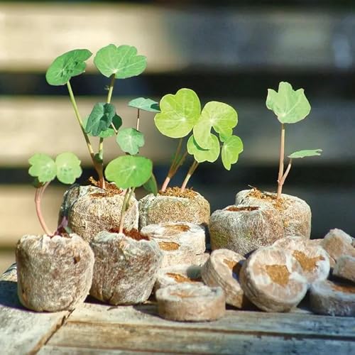 Image of Seedling Tray for Plants with Cocopeat - A 100% Organic Seed Germination Tray | Used as a Seed Germination kit for 100% Germination | 30mm Diameter (Pack of 100)