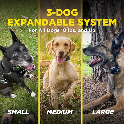 Image of Dogtra 280X 2-Dogs E-Collar with Remote [New Edition] 10 lbs+, 1 /2 Mile Range, LED Light, 100 Levels of Control for Stubborn Dogs, Waterproof, Boost for Quick Recall, Vibration, Safety Lock & Tone
