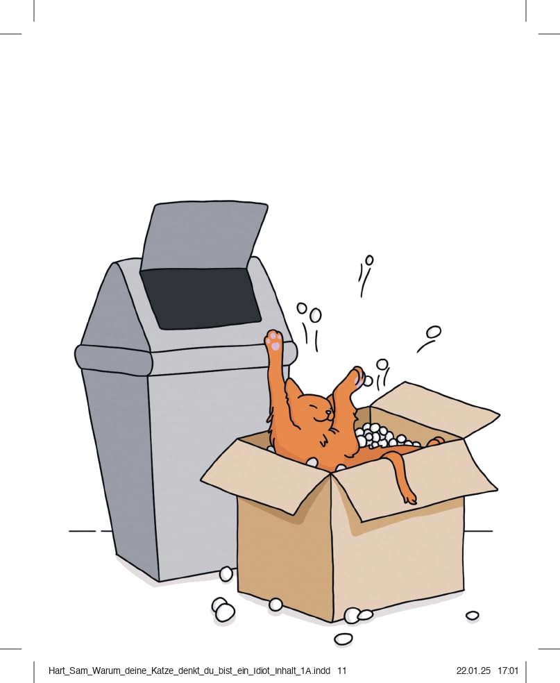 Warum deine Katze denkt, du bist ein Idiot: Das lustige und liebevolle Geschenkbuch für alle Katzenbesitzer und Tierliebhaber. Schönes Geschenk zu Weihnachten, Ostern, Geburtstag