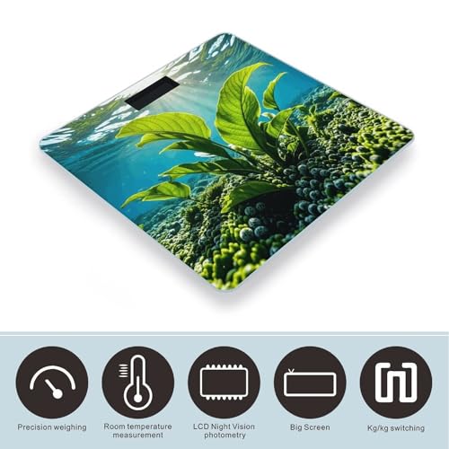 Báscula digital de baño Green Sea Blue Seaweed, vidrio templado miniatura 3