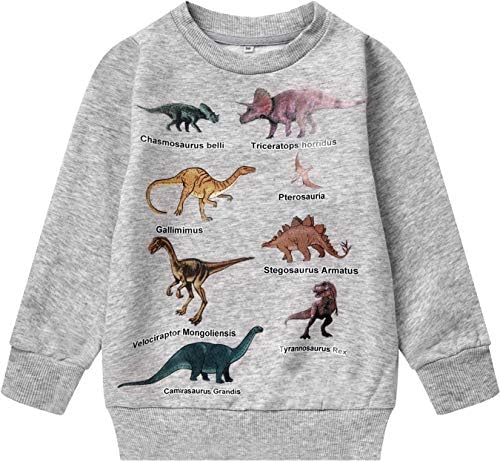 Akyzic Baby Boys Dinosaur Sweatshirt Fleece Long Sleeve Crewneck Pullover Toddler Kids Dino Shirt Warm Sweater T-Rex T shirt 3t/100