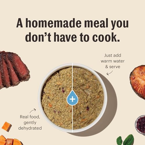 Image of The Honest Kitchen Human Grade Wholemade Dehydrated Grain Free Beef Dog Food - Complete & Balanced Meal or Topper 7 lb Box