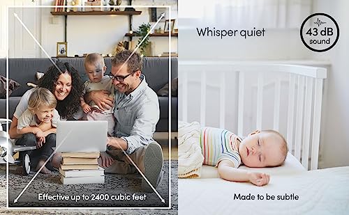 Compact And Powerful Eva-Dry Edv-2400 Dehumidifier | Eliminate Moisture | Energy Efficient | Whisper-Quiet | Portable | Ideal For Home, Office, And Rv #TOP3