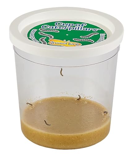 Insect Lore 1010 Butterfly Garden Kit thumb #13