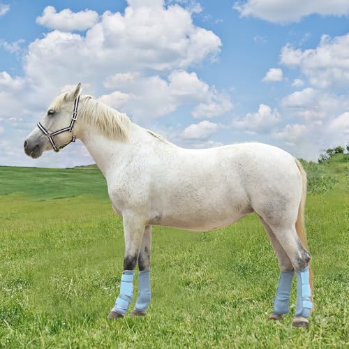 Image of Horse Fly Boots, Mesh Fly Boots for Horse Set of 4, Equine Leg Protection