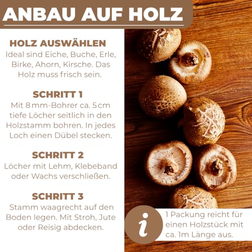 Hawlik Pilzbrut - Shiitake Pilze auf Holz & Baumstämmen züchten - frische Pilze einfach züchten - 20 Pilzdübel mit Mycel für die Zucht auf Holz
