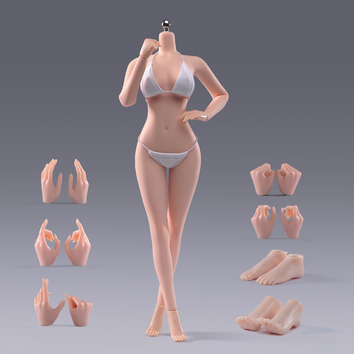 Amazon | 1/6スケール女性アクションフィギュアボディ、12インチ