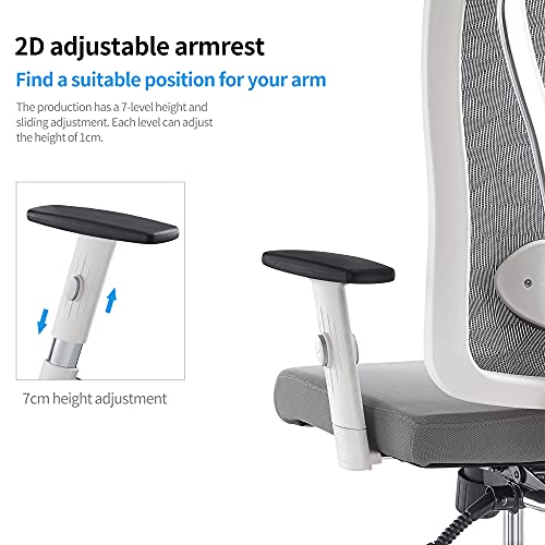 Cedric Office Chair,Breathable Mesh Computer Chair with Ergonomic