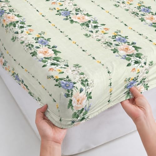 Image of la' amour Single Fitted Bedsheet with 1 Pillow Cover, Soft Breathable Elastic Bed Sheet for Single Bed, Premium Printed Bedsheet with All Around Elastic - 36 x 72 + 6 Inches, Multicolor Accents