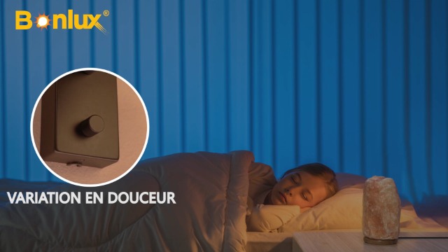 Bonlux Ampoule Halogène G9 Pour Four 40W Blanc Chaud 2700K Dimmable