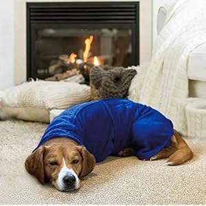 Geyecete Dog Drying Coat -Dry Fast Dog Bag - Dog Bathrobe Towel - Microfibre Fast Drying Super Absorbent Pet Dog Cat Bath Robe Towel,Luxuriously Soft-Blue-XXXL Geyecete Dog Drying Coat -Dry Fast Dog Bag – Dog Bathrobe Towel – Microfibre Fast Drying Super Absorbent Pet Dog Cat Bath Robe Towel,Luxuriously Soft-Blue-XXXL