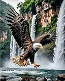 askkqtx Eagle Paint by Numbers Kit for Adults, DIY Waterfall Paint by Numbers for Beginner, Watercolor Oil Painting by Number on Canvas for Home Decor and Gifts 16x20 Inch