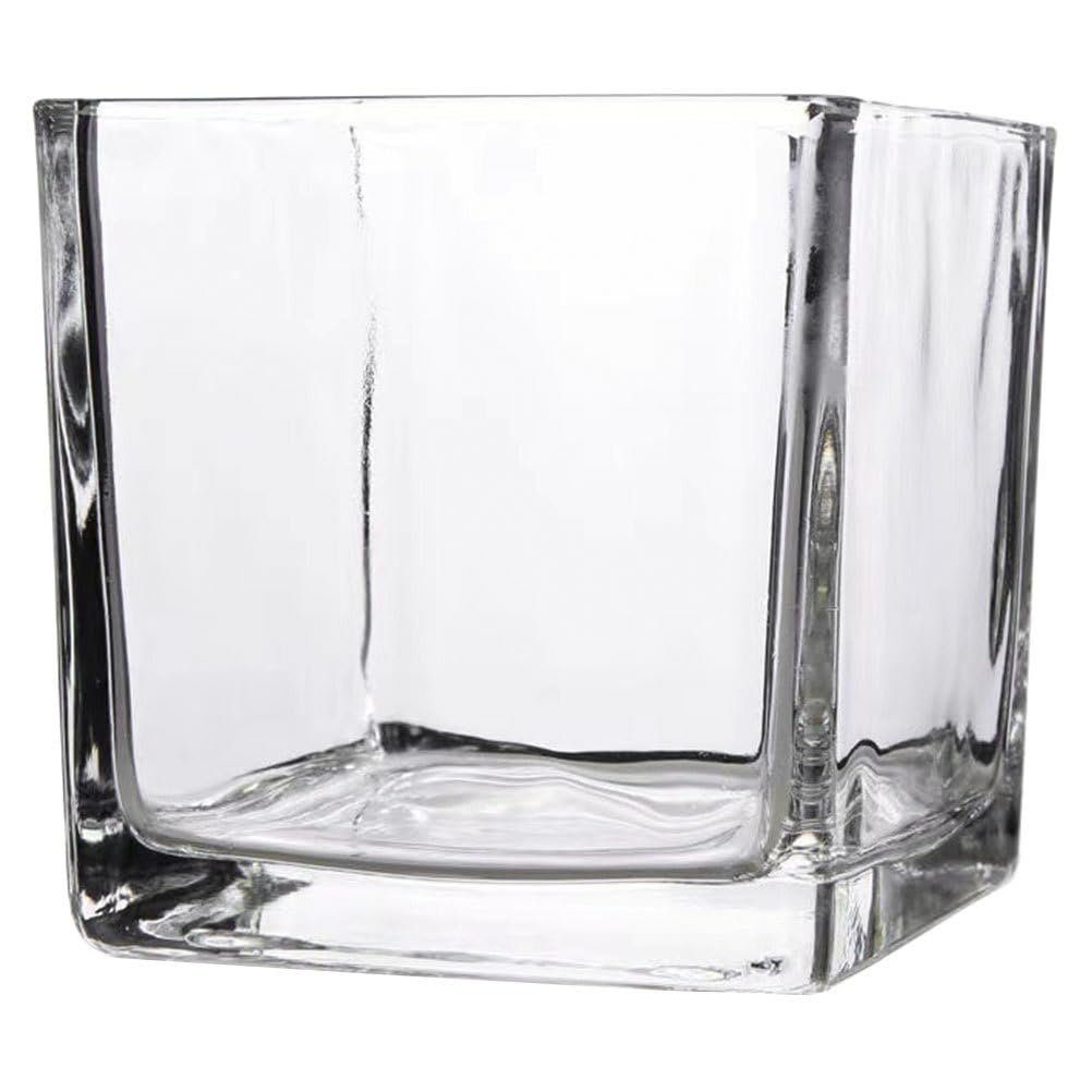 STOBAZA Jarrón De Cristal Cuadrado 10X10cm Florero De Cubo Transparente Macetero Hidropónico Portavelas para Mesa De Boda Centro De Mesa Decoración De Oficina En El Hogar