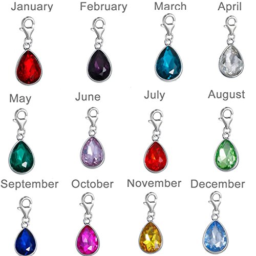 Sexy Sparkles Clip on Birthstones Dangling Lobster Clasp Charms for Bracelets3