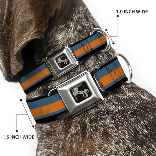 Collier pour chien large 3,8 cm boucle métal Buckle-Down - 3