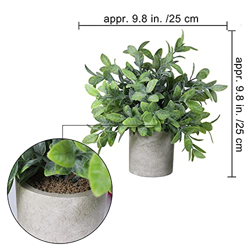 Winlyn Set Of 2 Faux Mini Potted Plants Artificial Eucalyptus Boxwood Plants In Pots Fake Greenery Arrangement For Rustic Farmhouse Indoor Table Centerpiece Mantel Shelf Kitchen Office Desk Decor #TOP1