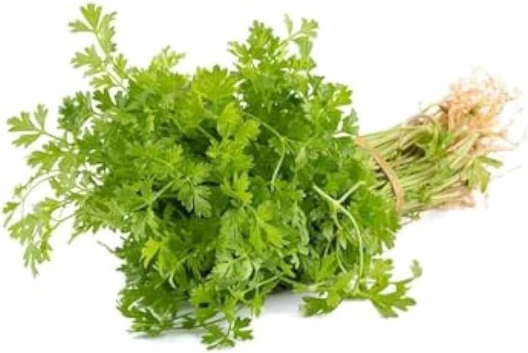 FreshtoHome Coriander Leaf Bunch 70g (UAE)