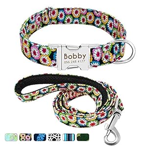 Beirui Gepersonaliseerde hondenhalsband en loodset met snelsluiting – aangepaste 4FT hondenriem en halsband set met bloemenpatronen – verstelbare halsband voor kleine middelgrote grote honden, Bohemia Daisy