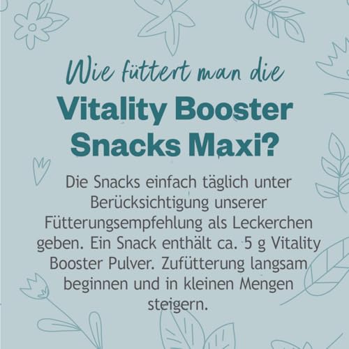 GRAU - das Original - Hokamix Vitality Booster Snack Maxi, 1er Pack (1 x 4,5 kg), Ergänzungsfuttermittel für Hunde