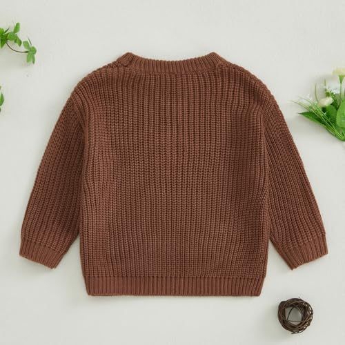 Infant Newborn Baby Girl Cute Long Sleeve Bow Embroidery Chunky Knitted Sweater Toddler Fall Winter Outfits4