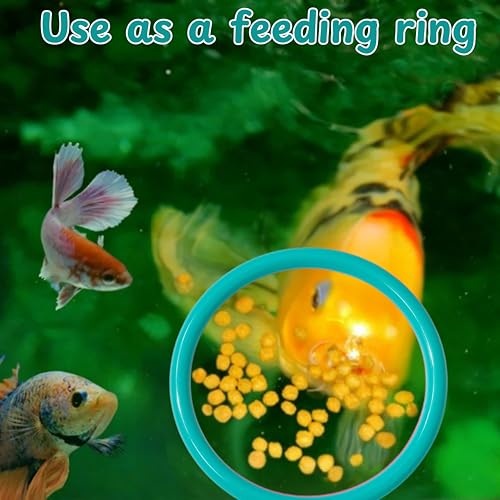 Image of 2 pcs Betta Ring Enrichment Toys with 1 pcs Betta Mirror, Exercise Training Ring and Floating Mirror for Fish Tank, Aquarium Feeding Rings with Floating Mirrors, Fish Toys, Bettas Toy (Teal, M-70mm)