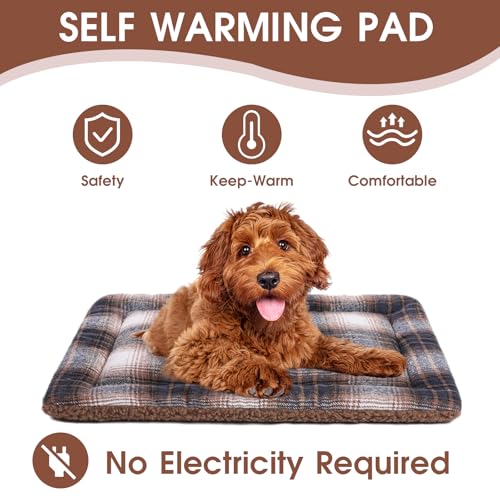 Image of Cat Bed Mat Two-Sided Used, 23 inchx 16 inch Soft Thermal Dog Pad, for Indoor Outdoor Pets, Washable Suitable for Large Pet Carrier, Blue- Brown