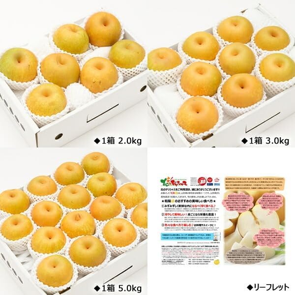 和梨 刈屋梨 3kg (秀品/6玉〜9玉入り/常温品) わなし なし 梨 和梨 かりやなし 山形 産地直送 果物 【トロピカルフ】 フルーツ