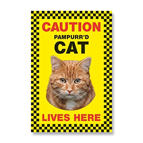 Ginger Pampurr'd Cat Lives Here - Large Security Sign 9" x 6"