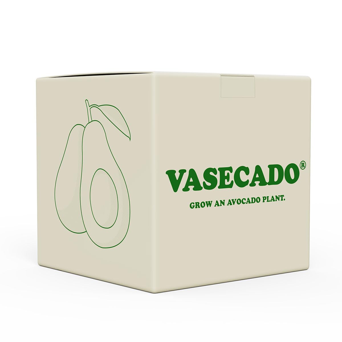 Avocado Samenvase, mundgeblasenes Glas-Anzuchtgefäß für den Anbau von Avocados Pflanzen, einzigartiges Startergeschenk für Pflanzenliebhaber