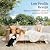 MIXPATIO Patio Sectional Furniture Set, 6 Piece Outdoor Wicker Sofa Couch Set, Yellow Rattan Modular Outdoor Conversation Sets with 10" Extra Thick Cushions, Low Profile Lawn Deck Garden Furniture