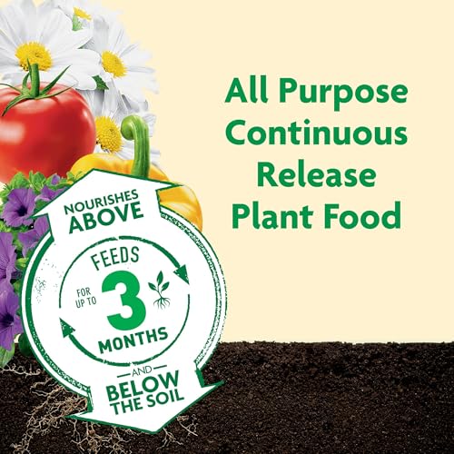 Image of Miracle-Gro Shake 'N Feed Rose & Bloom Plant Food, 4.5 lb. (6-Pack)