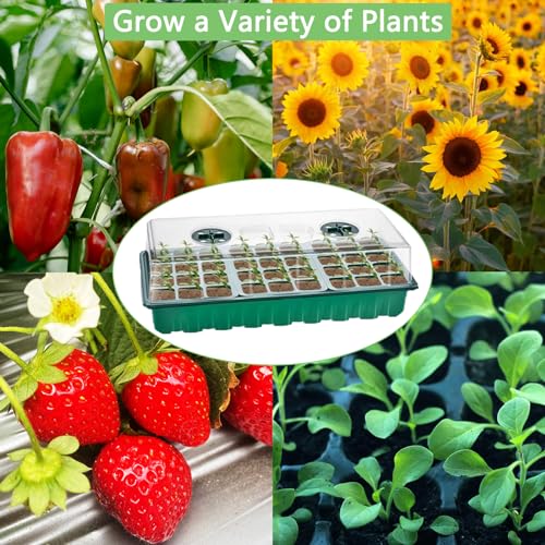 Rinobels Bandejas de sementes com tampas, pacote com 3, 108 células, propagador de estufa para mudas